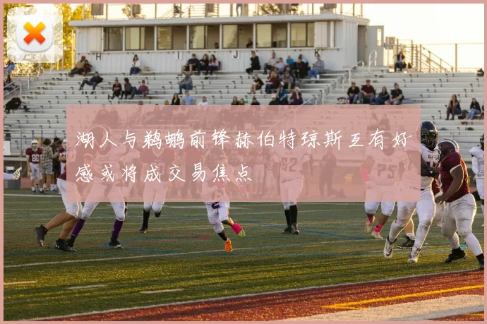 湖人与鹈鹕前锋赫伯特琼斯互有好感或将成交易焦点