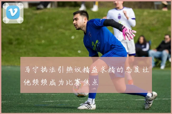 马宁执法引热议精益求精的态度让他频频成为比赛焦点