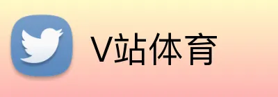 V站体育 Logo